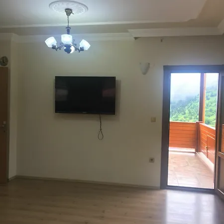 Apartment Lakeview *
